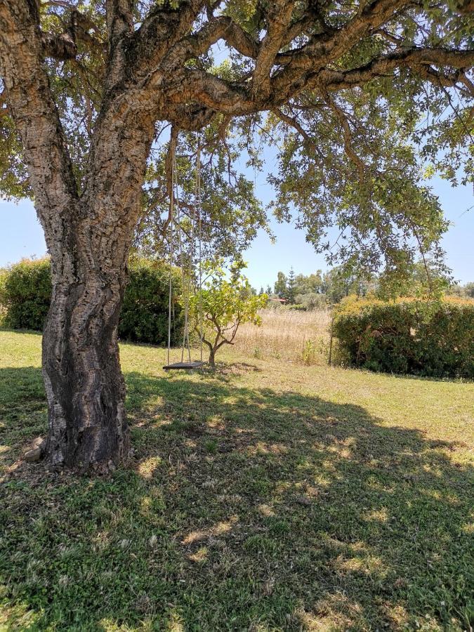 Home Garden Siniscola Εξωτερικό φωτογραφία