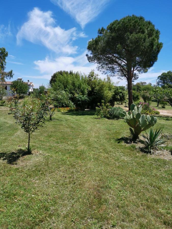 Home Garden Siniscola Εξωτερικό φωτογραφία