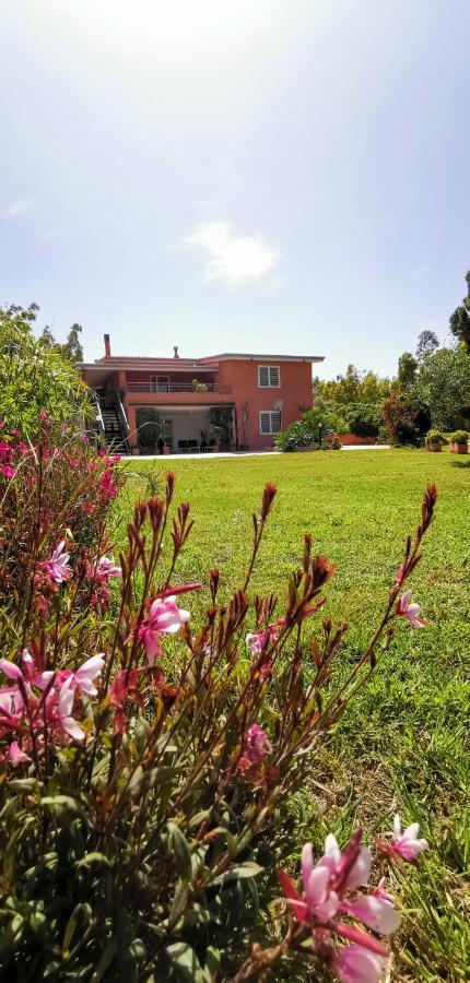 Home Garden Siniscola Εξωτερικό φωτογραφία